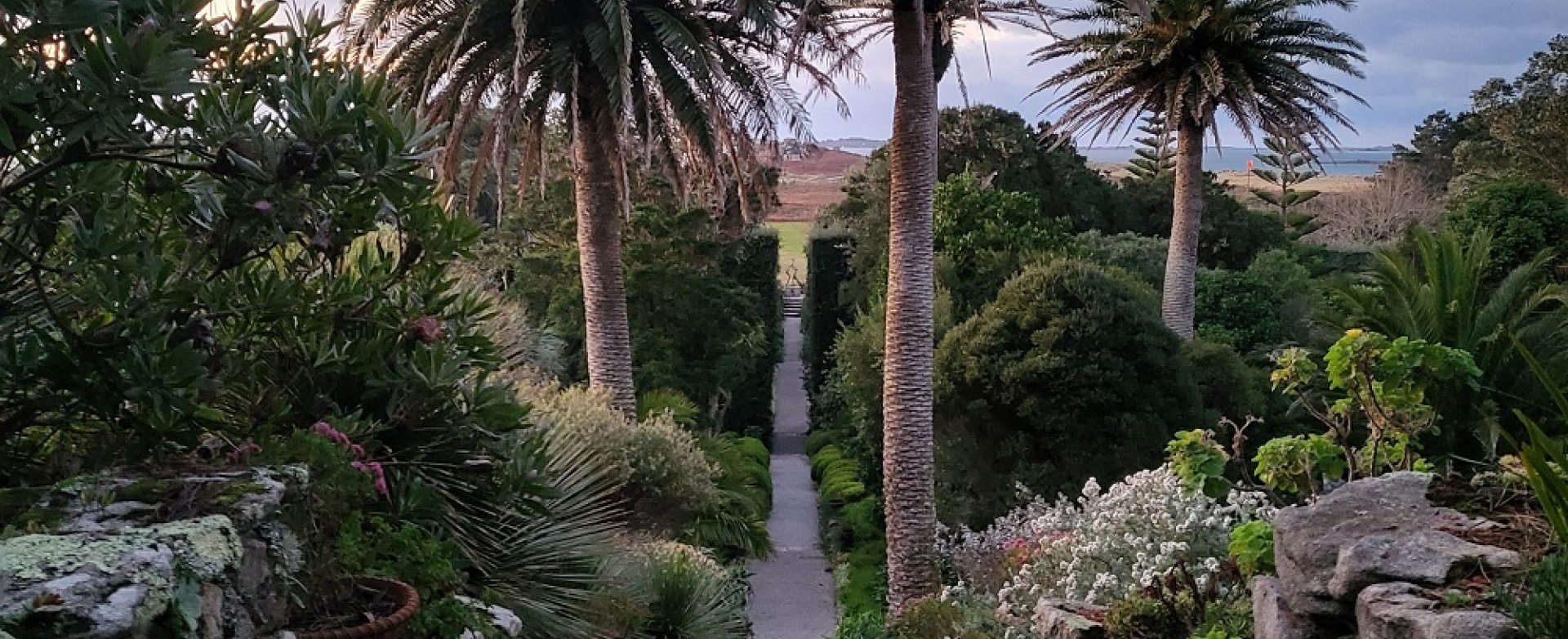 Tresco Abbey Garden tresco